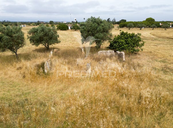 Vale de Santiago, Odemira, Beja District 7630