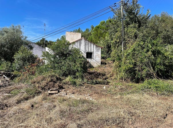 Rio de Moinhos, Santarém District