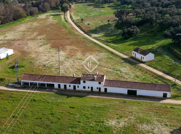 Abrantes, Santarém District 2205-002