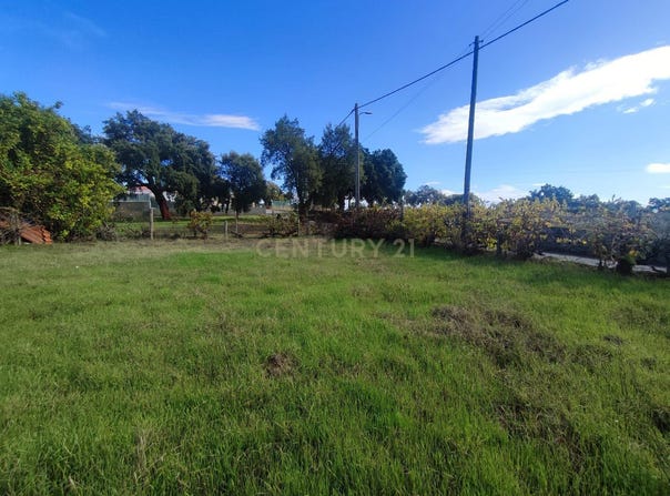Tinalhas, Castelo Branco District
