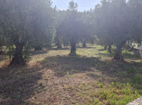 Redinha, Leiria District