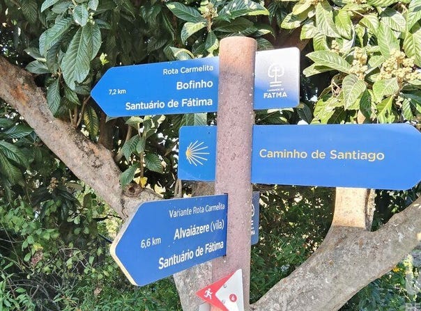 Leiria, Leiria District