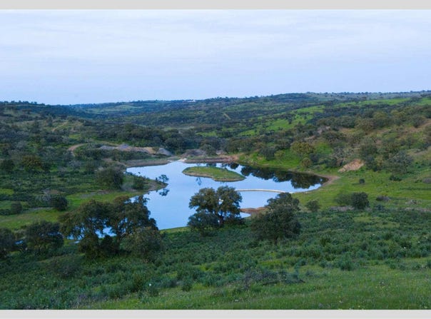 Almodôvar e Graça dos Padrões, Beja 7700