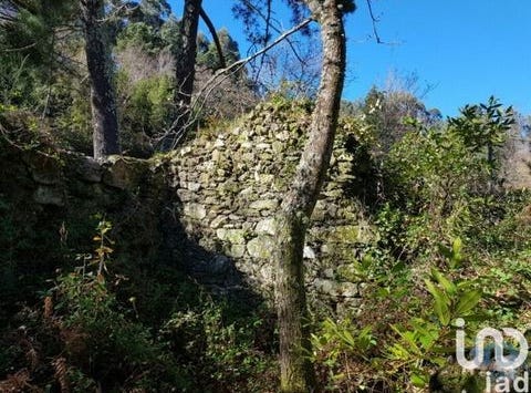 Vila Nova de Cerveira, Viana do Castelo 4920-020