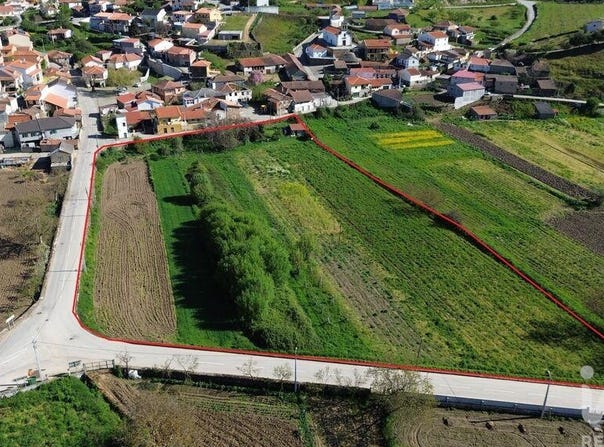Vila Real, Vila Real District