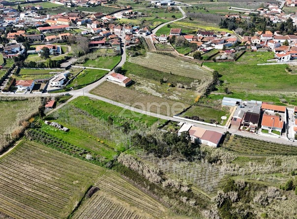 Anadia, Aveiro District