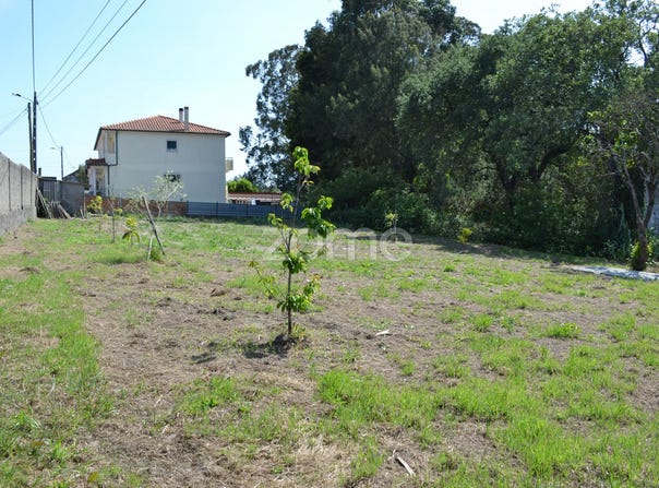 Marinha Grande, Leiria District