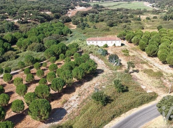 Alpiarça, Santarém 2090