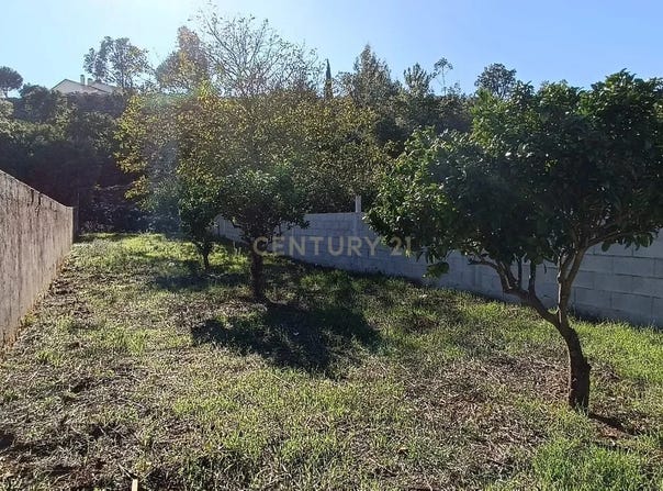 Mira de Aire, Leiria District