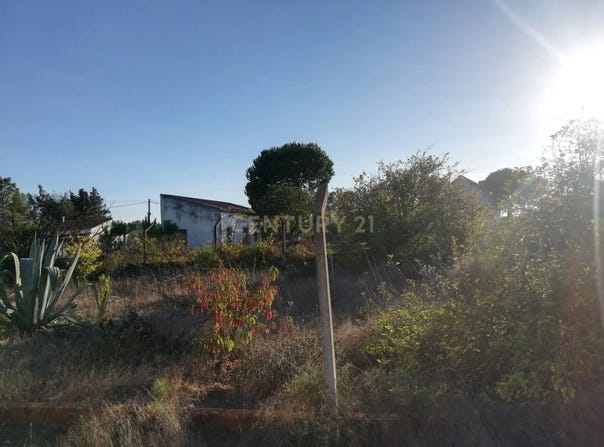 Quinta do Anjo, Setubal