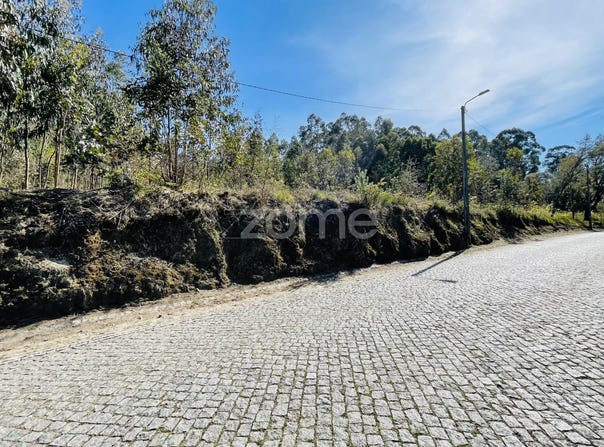Santo Tirso, Porto District