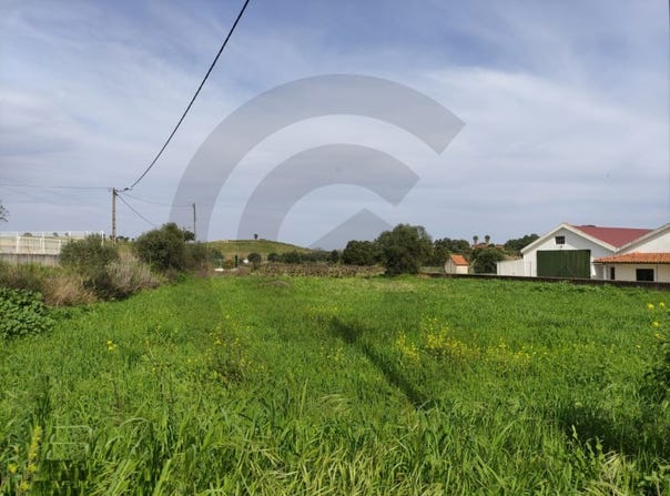 Brogueira, Santarém District