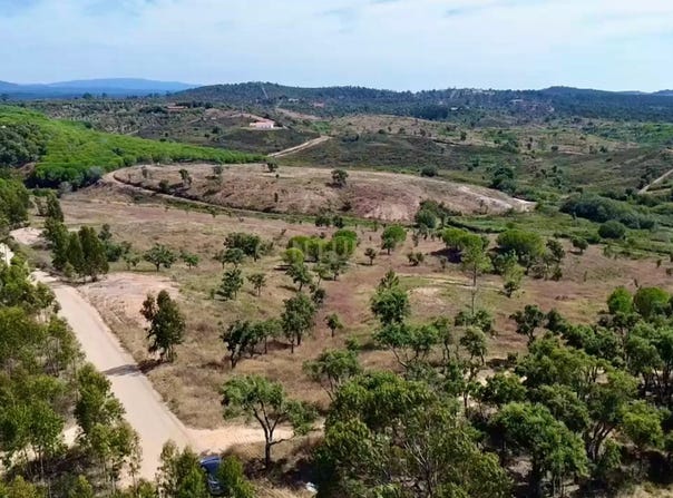 Pascoal, São Teotónio, Beja District 7630-579
