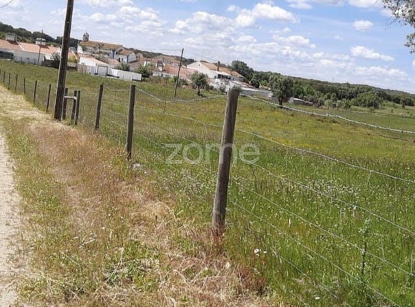 Montemor-o-Novo, Évora District