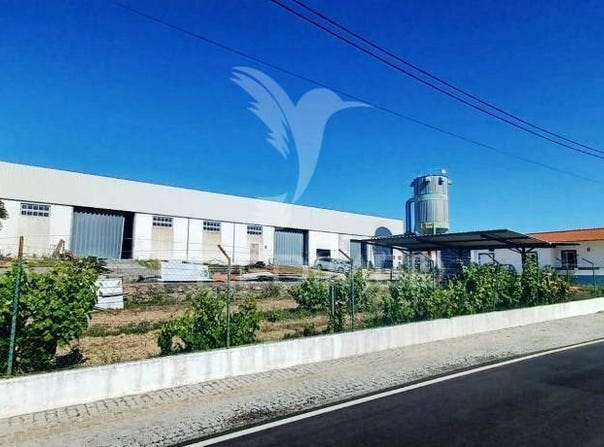 Alagoa, Portalegre, Portalegre District 7300