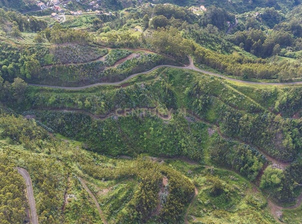 Ilha da Madeira, Madeira