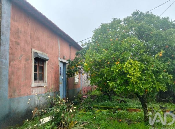 Santarém, Santarém District