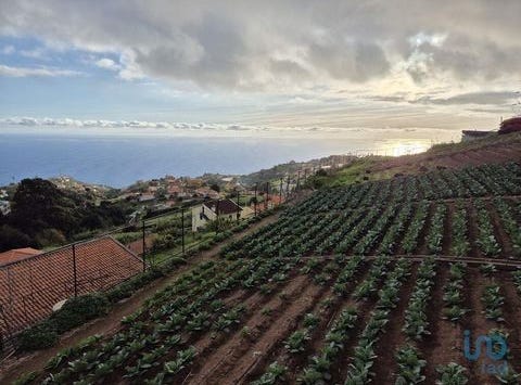 Ponta do Sol, Ilha da Madeira 9360-309