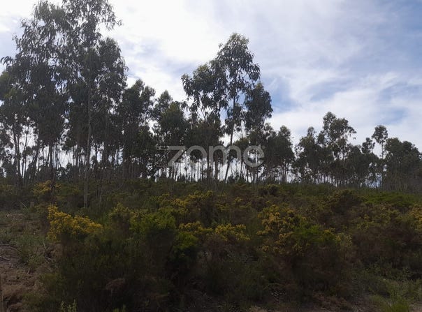 Marinha Grande, Leiria District