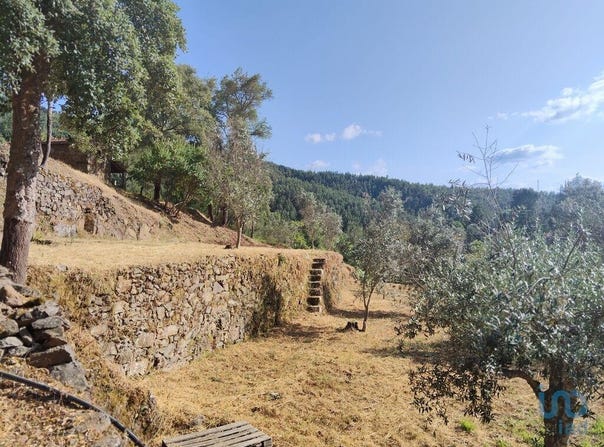 Castelo Branco, Castelo Branco District