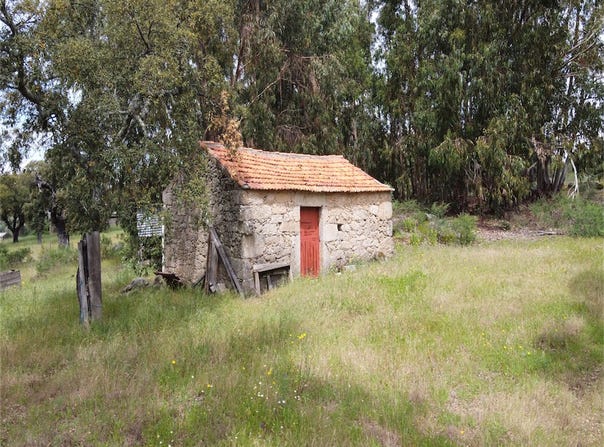 Castelo Branco, Castelo Branco District 6000