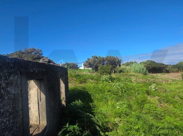 Achadas Da Cruz, Madeira 9270
