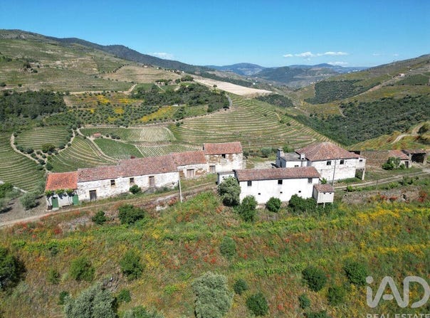 Viseu, Viseu District
