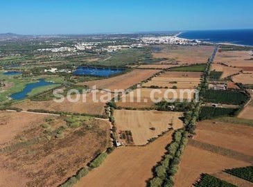 Loule, Faro