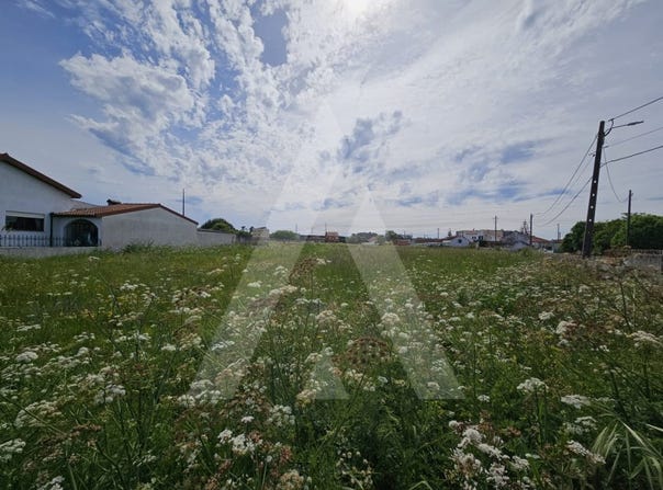 Aradas, Aveiro District