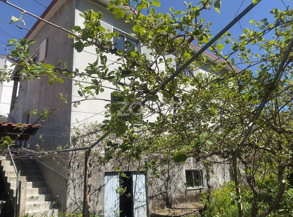 Pampilhosa da Serra, Coimbra District