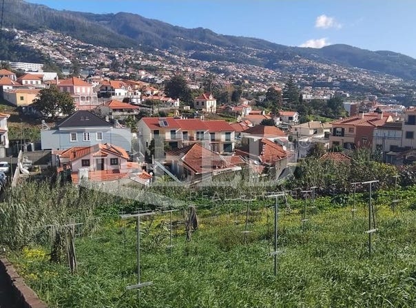 Santo Antônio, Madeira 9020