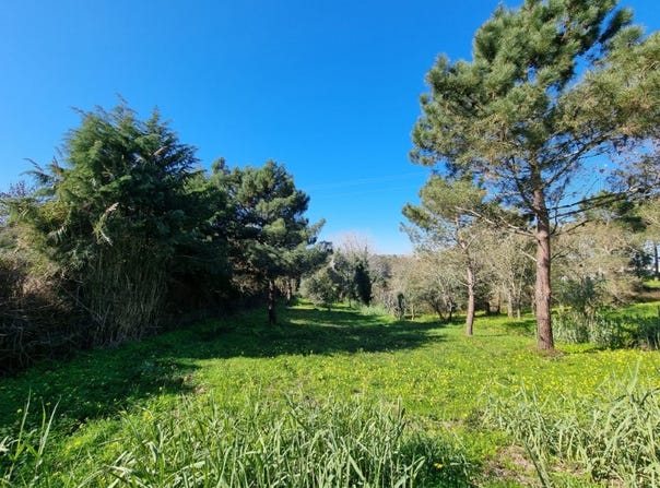 Carvalhal, Leiria District