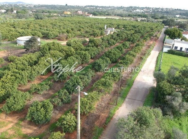 Loulé (São Sebastião), Algarve 8100