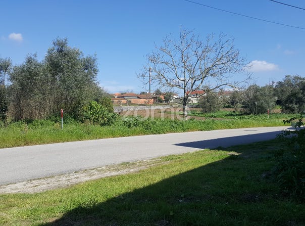 Leiria, Leiria District