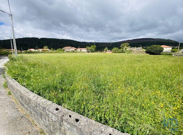 Viana do Castelo, Viana do Castelo District