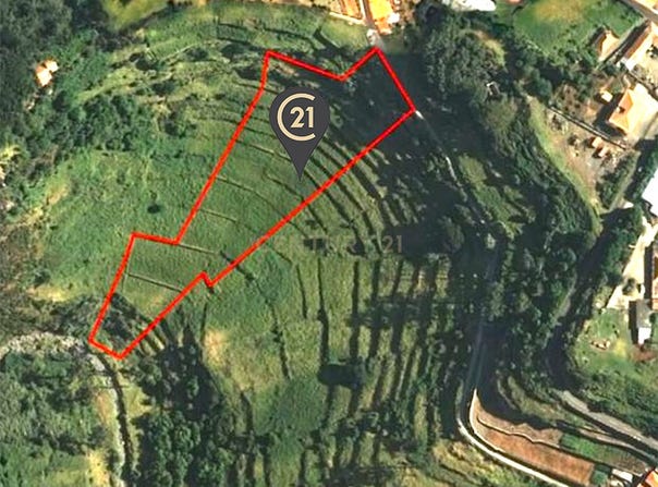 Ilha da Madeira, Madeira