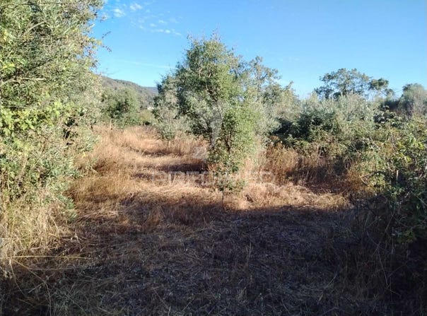 Ribeira de Nisa e Carreiras, Portalegre, Portalegre District 7300-126