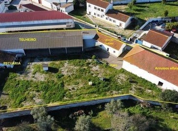 Golegã, Santarém 2150-086