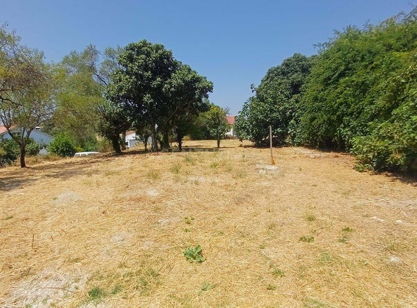 Olaia e Paço, Santarém District