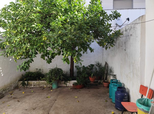 Beja, Beja District 7860-239