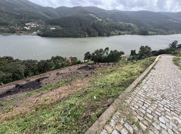 Porto, Porto District