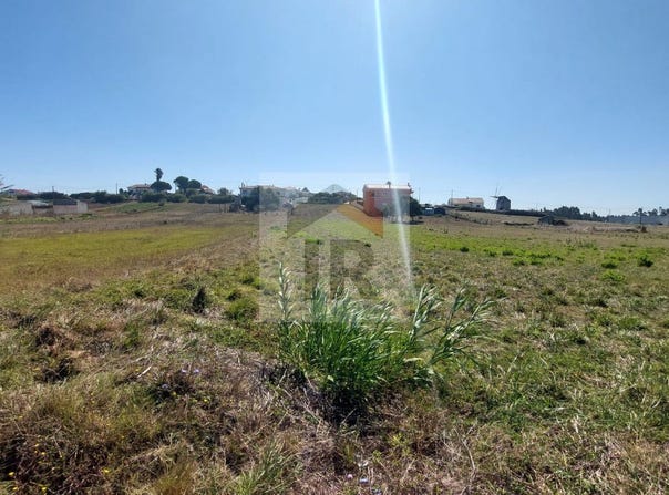 Caldas da Rainha, Leiria District