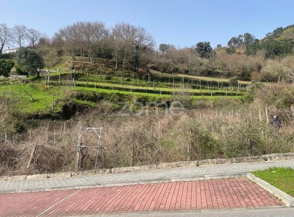 Ribeira de Pena, Vila Real District