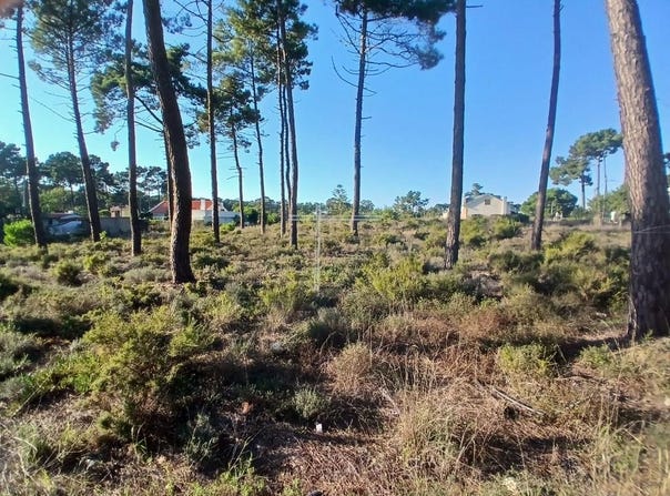 Charneca De Caparica, Setúbal 2820