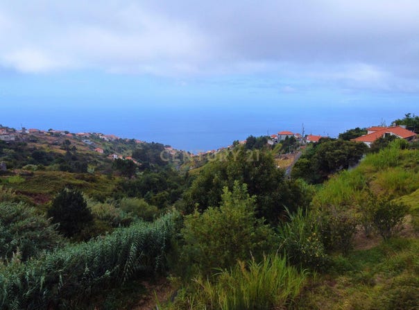 Ilha da Madeira, Madeira