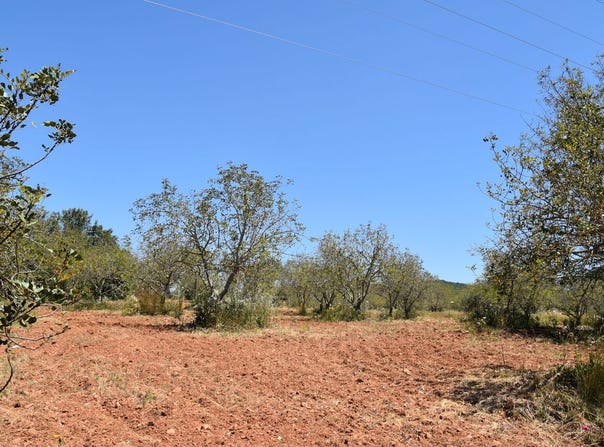 Faro, Algarve 8200