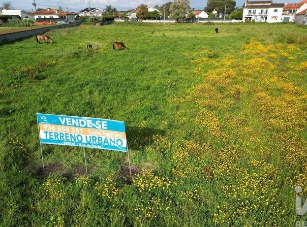 Aveiro, Aveiro District