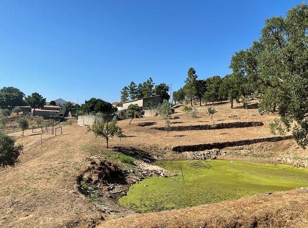 Martinchel, Santarém District