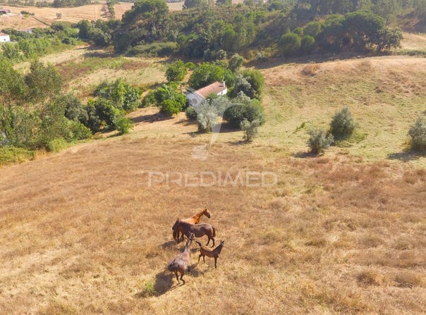 Cercal, Santiago do Cacém, Setubal 7555