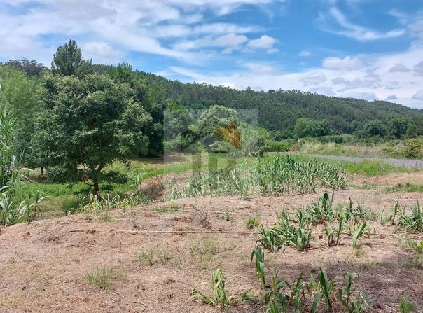 Caldas da Rainha, Leiria District